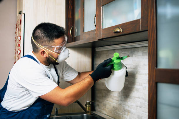 Best Pest Control Treatment  in Warrensburg, IL