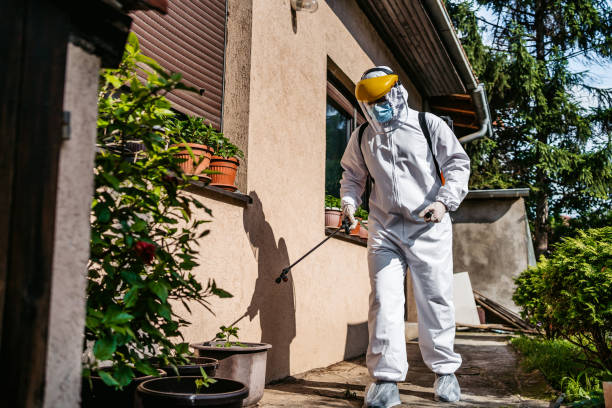 Best Affordable Pest Control Services  in Warrensburg, IL