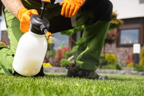 Best Affordable Exterminators  in Warrensburg, IL