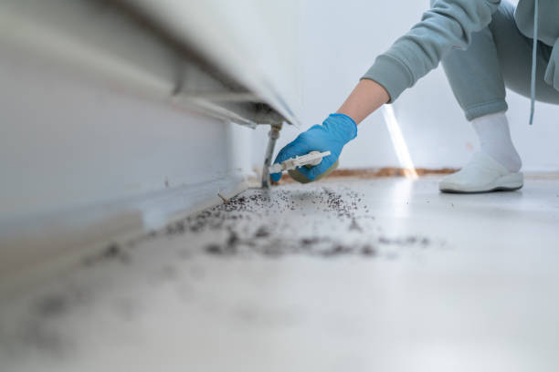 Professional Pest Control in Warrensburg, IL